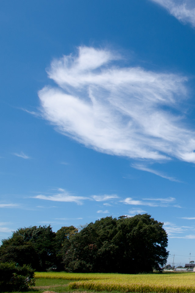 白い雲と秋の空　秋の景色　スマートフォン壁紙