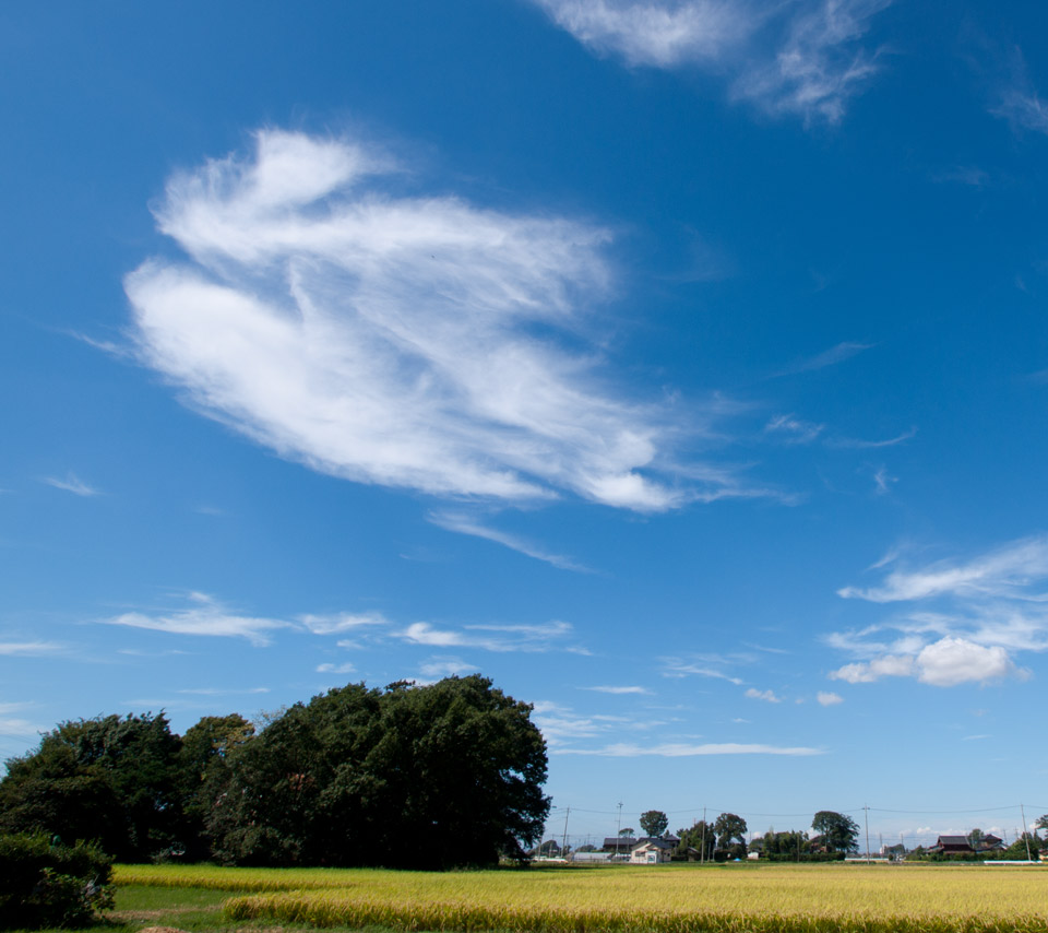 白い雲と秋の空　秋の景色　スマートフォン壁紙