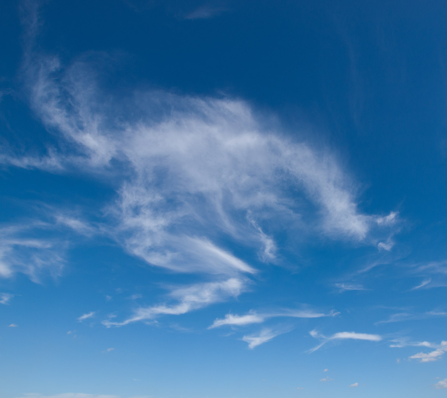 面白い歩き方のカマキリ　ユニークな雲　スマートフォン壁紙