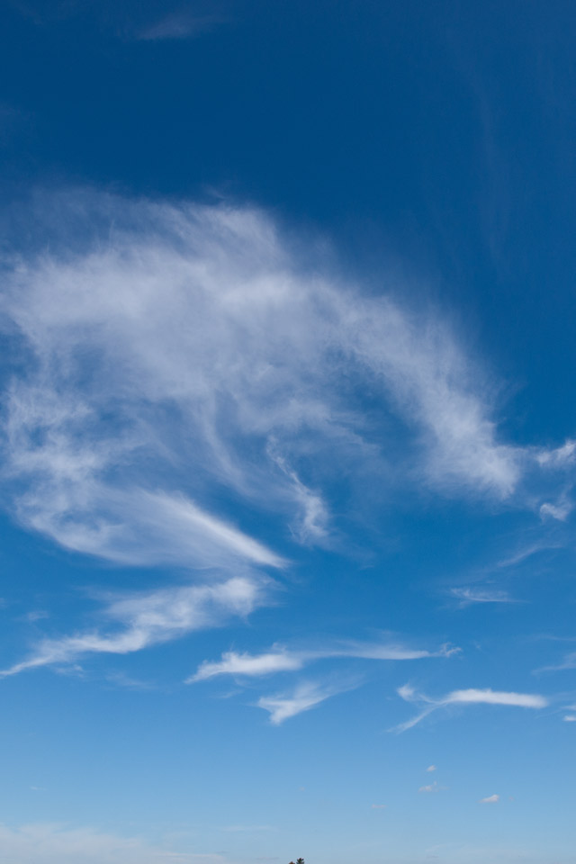 面白い歩き方のカマキリ　ユニークな雲　スマートフォン壁紙
