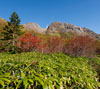 焼岳　山の景色（長野県）のスマートフォン待ち受け