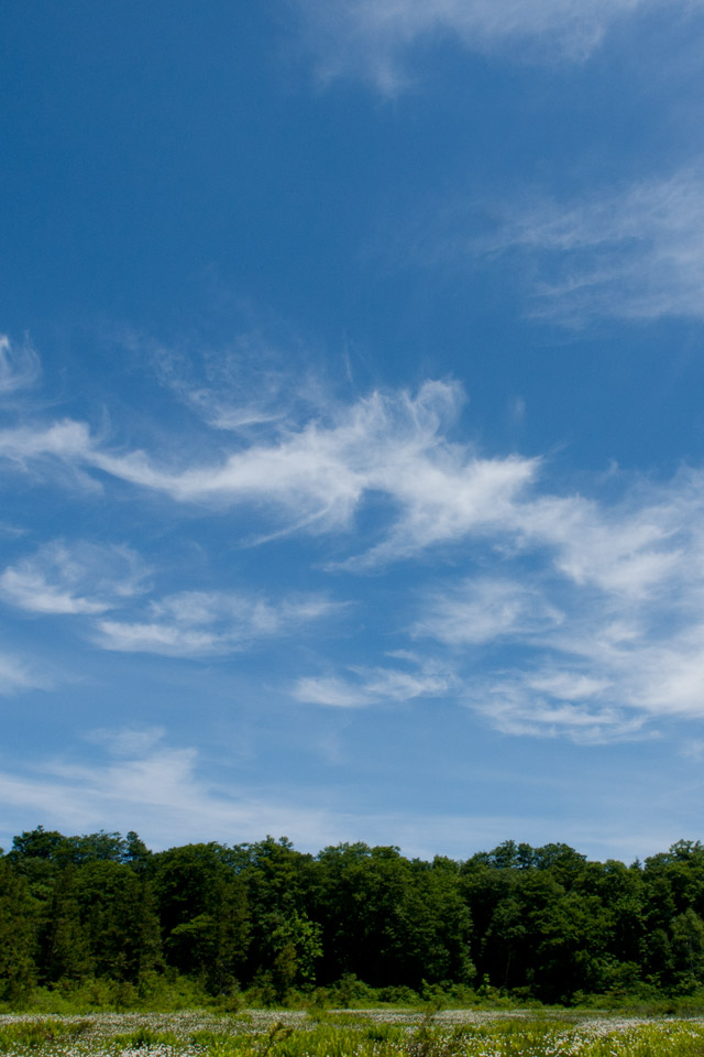 梅雨の晴れ間の青空　初夏の景色　スマートフォン壁紙