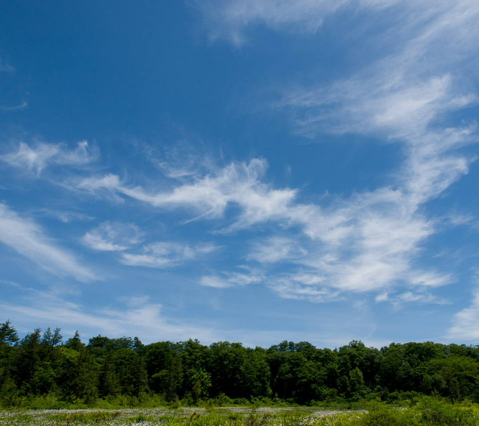 梅雨の晴れ間の青空　初夏の景色　スマートフォン壁紙