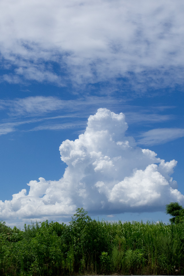 青空と入道雲　夏の風物詩　スマートフォン壁紙