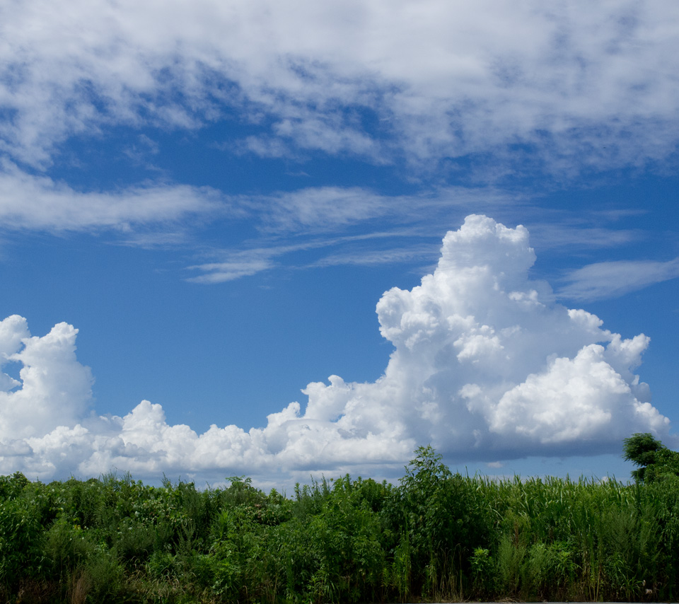 青空と入道雲　夏の風物詩　スマートフォン壁紙