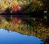 水面に映る紅葉と青空　湖・川のスマホ壁紙