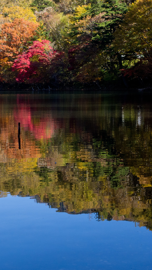 水面に映る紅葉と青空　湖・川　スマートフォン壁紙