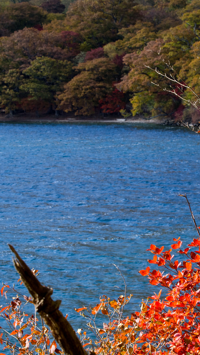 水際の紅葉　湖・川　スマートフォン壁紙