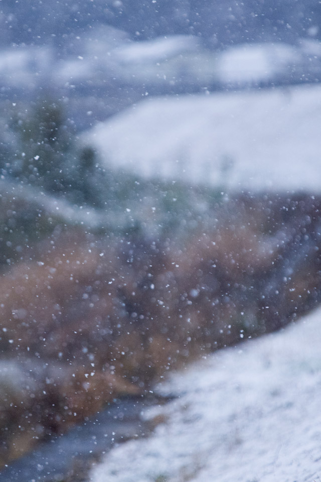 土手には薄っすらと雪が積もり・・・　冬の景色　スマートフォン壁紙