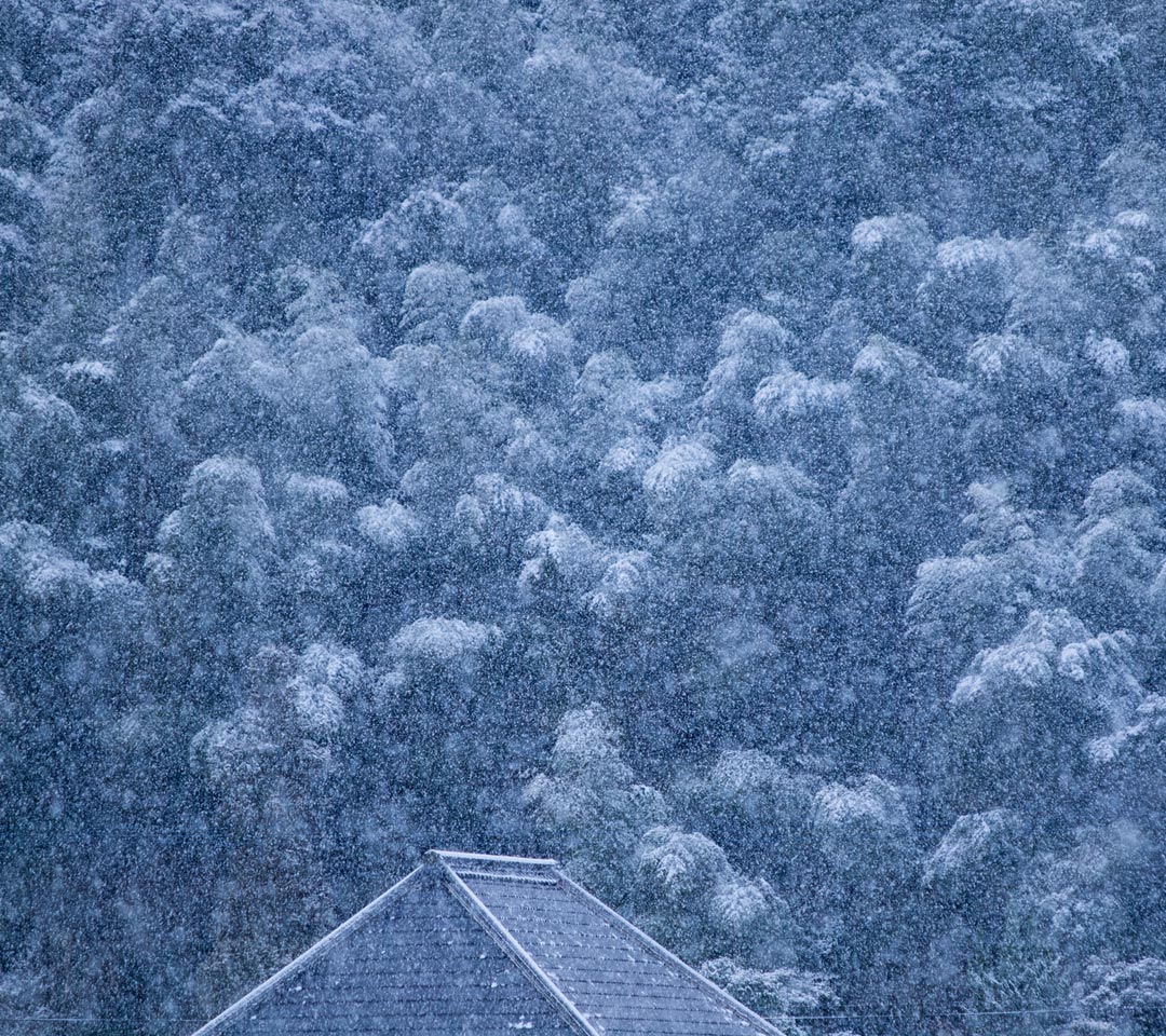 雪が積もりそ～　シンプル・冬　スマートフォン壁紙