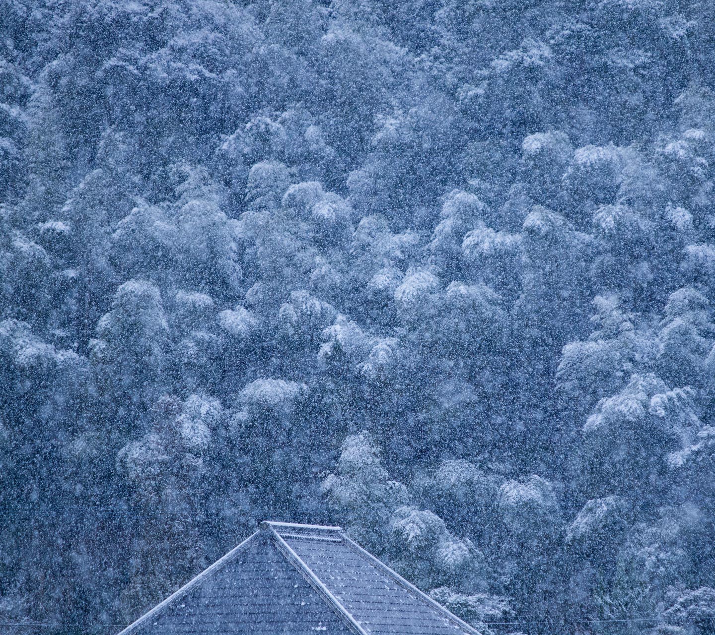 雪が積もりそ～　シンプル・冬　スマートフォン壁紙