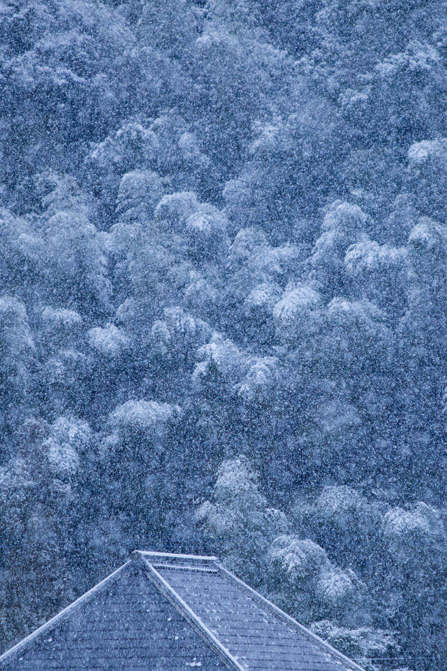 雪が積もりそ～　シンプル・冬　スマートフォン壁紙